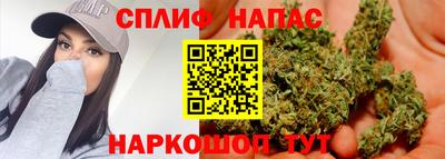 дурь Можга