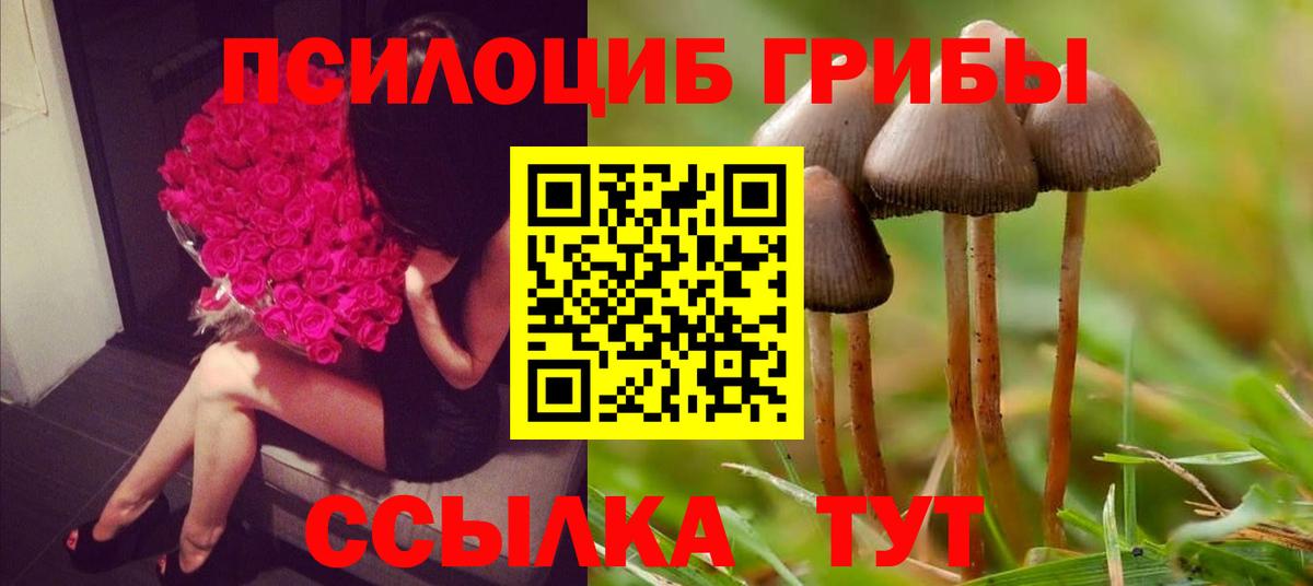 Псилоцибиновые грибы мухоморы Бузулук